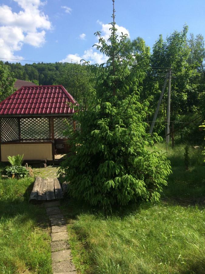 U Pana Ivana Jaremtsche Exterior foto